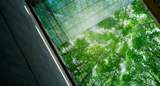 Nachhaltiges grünes Gebäude. Umweltfreundliches Gebäude in der modernen Stadt. Nachhaltiges Glasbüro mit Baum zur Reduktion von Kohlendioxid. Büro mit grüner Umgebung. Unternehmensgebäude verringern CO2.