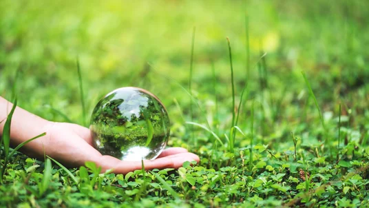 Fotografie einer Hand, die eine transparente Glaskugel über dichtem Grün mit Gräsern und kleinen Blättern hält. Kugel reflektiert Bäume und Himmel, wodurch Natur, Nachhaltigkeit und Perspektivwechsel als zentrale Themen hervortreten.